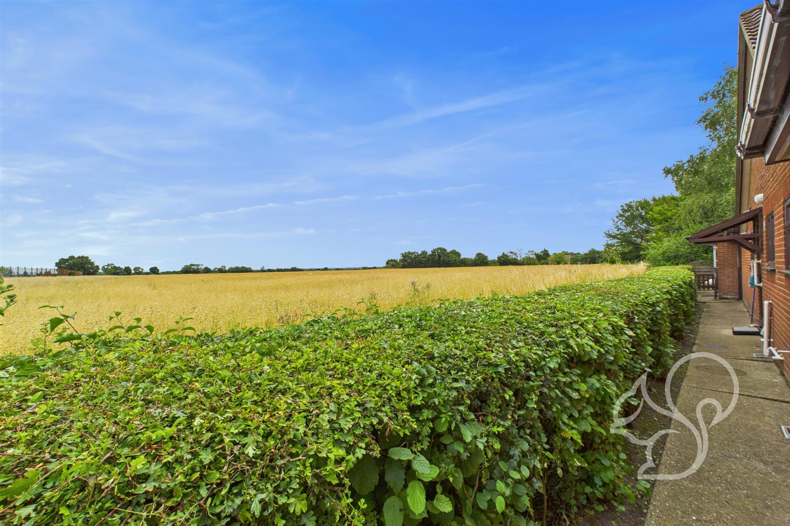 Field Views